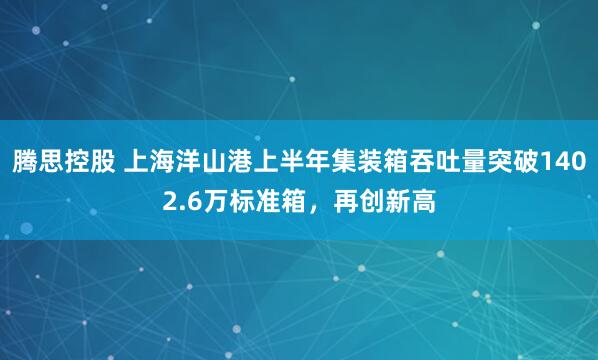 腾思控股 上海洋山港上半年集装箱吞吐量突破1402.6万标准箱，再创新高